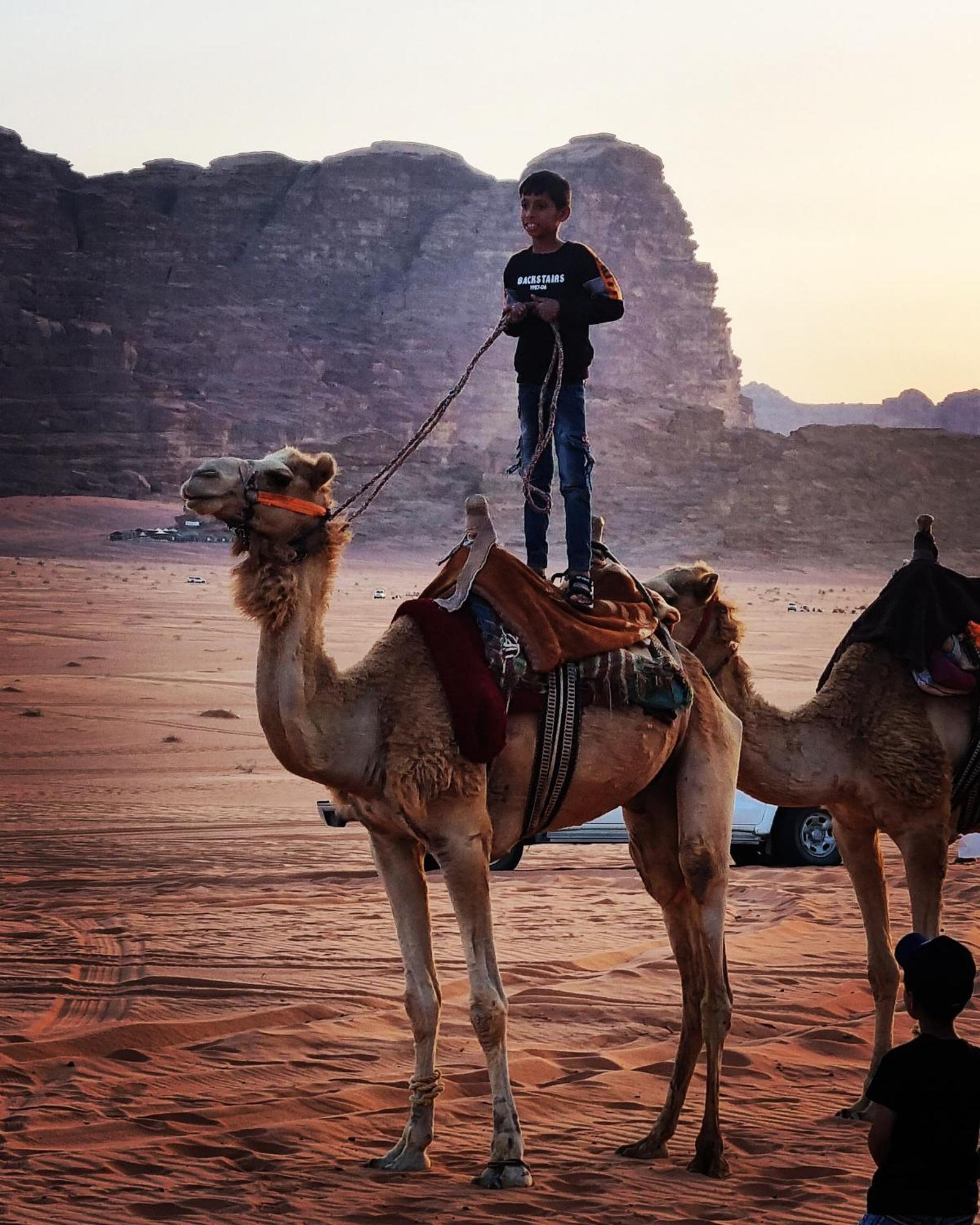 Hotel Desert Knights Camp Wadi Rum Esterno foto